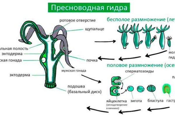 Магазины наркотиков