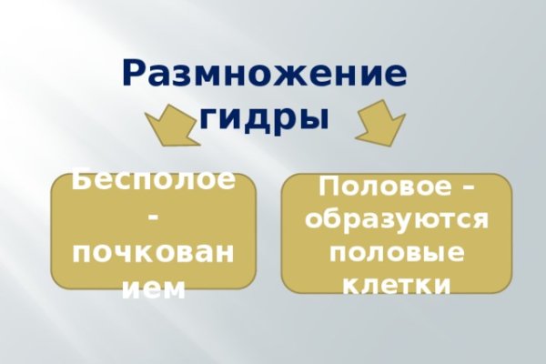 Кракен сайт магазин kraken clear com