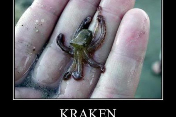 Kraken даркнет маркет