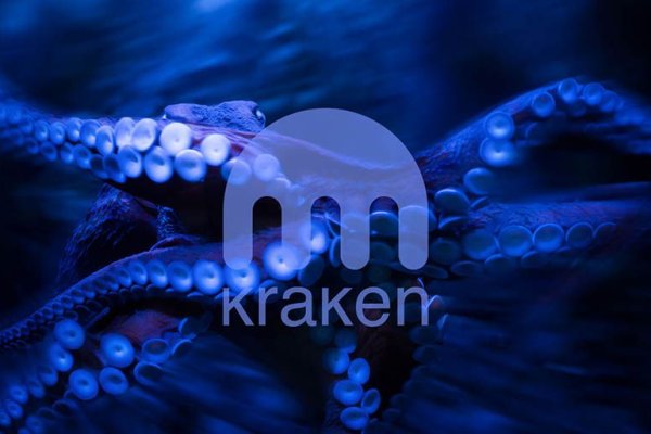 Kraken даркнет переходник